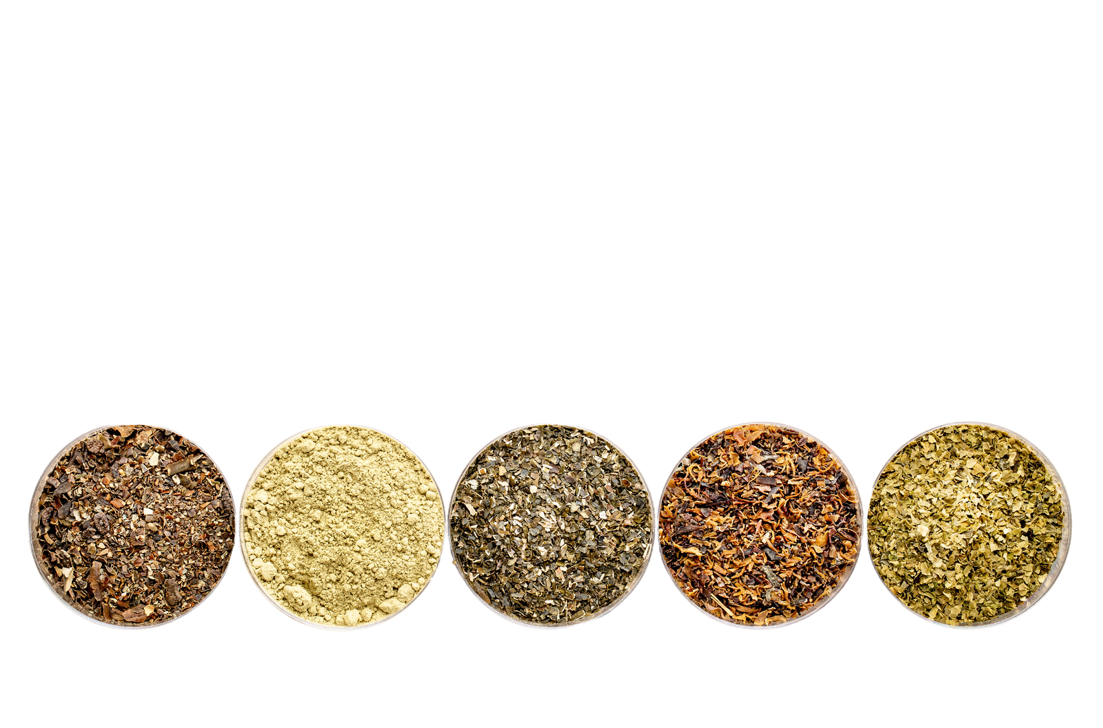 "The Path to Total Wellness Starts with Holistic Health"