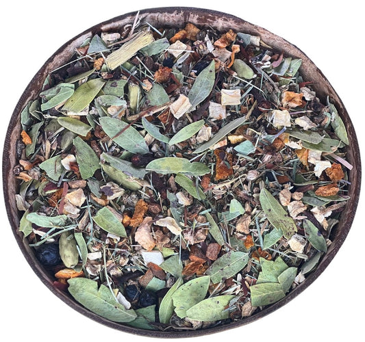 Electric Body Cleanse - Kidneys, Liver & Gallbladder Detox