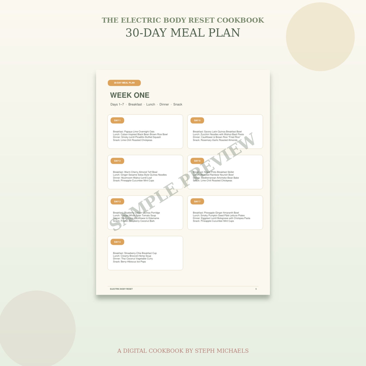 The Electric Body Reset Cookbook