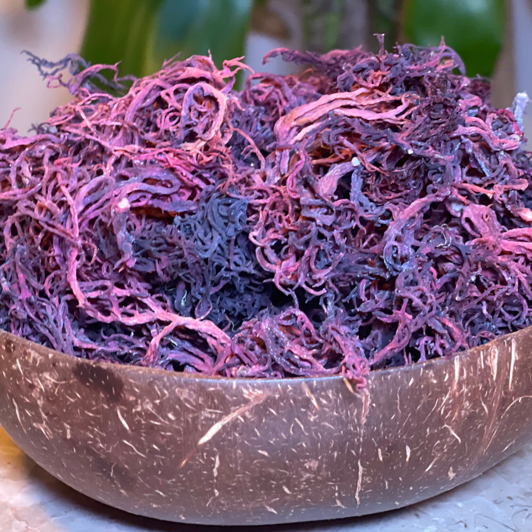 Wildcrafted Jamaican Sea Moss - Purple